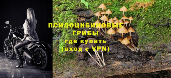 spice Кинешма